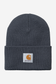 Carhartt WIP Acrylic Watch Hat in Zeus