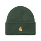 Carhartt Wip Chase Beanie FW24 in Sycamore Tree/Gold