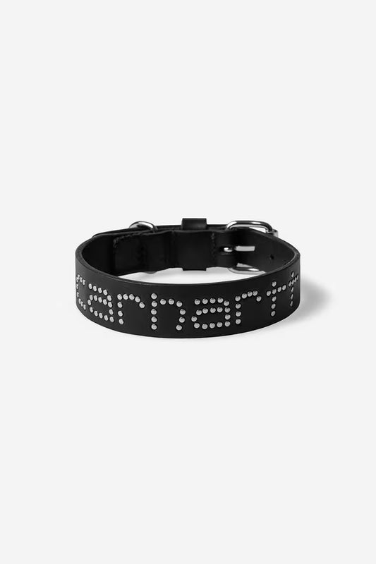 Carhartt WIP Script Studs Dog Collar