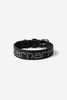 Carhartt WIP Script Studs Dog Collar