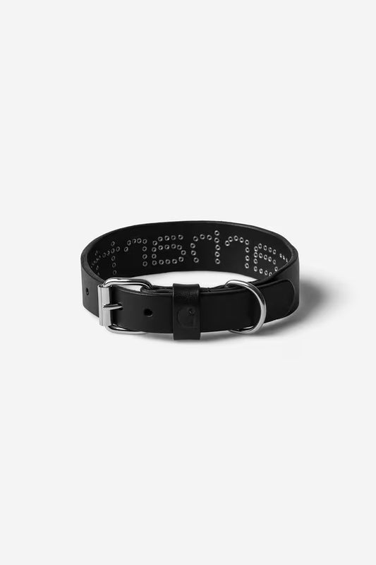 Carhartt WIP Script Studs Dog Collar