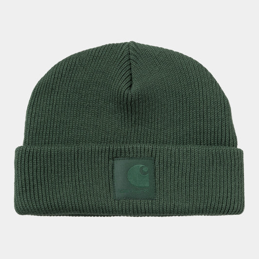 Carhartt Wip Dawson Beanie FW24 in Sycamore Tree