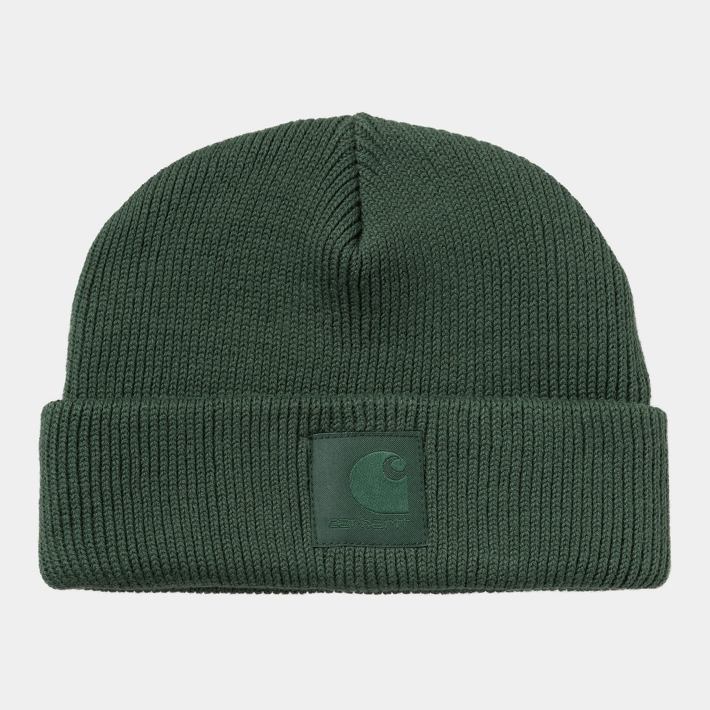 Carhartt Wip Dawson Beanie FW24 in Sycamore Tree