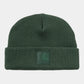 Carhartt Wip Dawson Beanie FW24 in Sycamore Tree