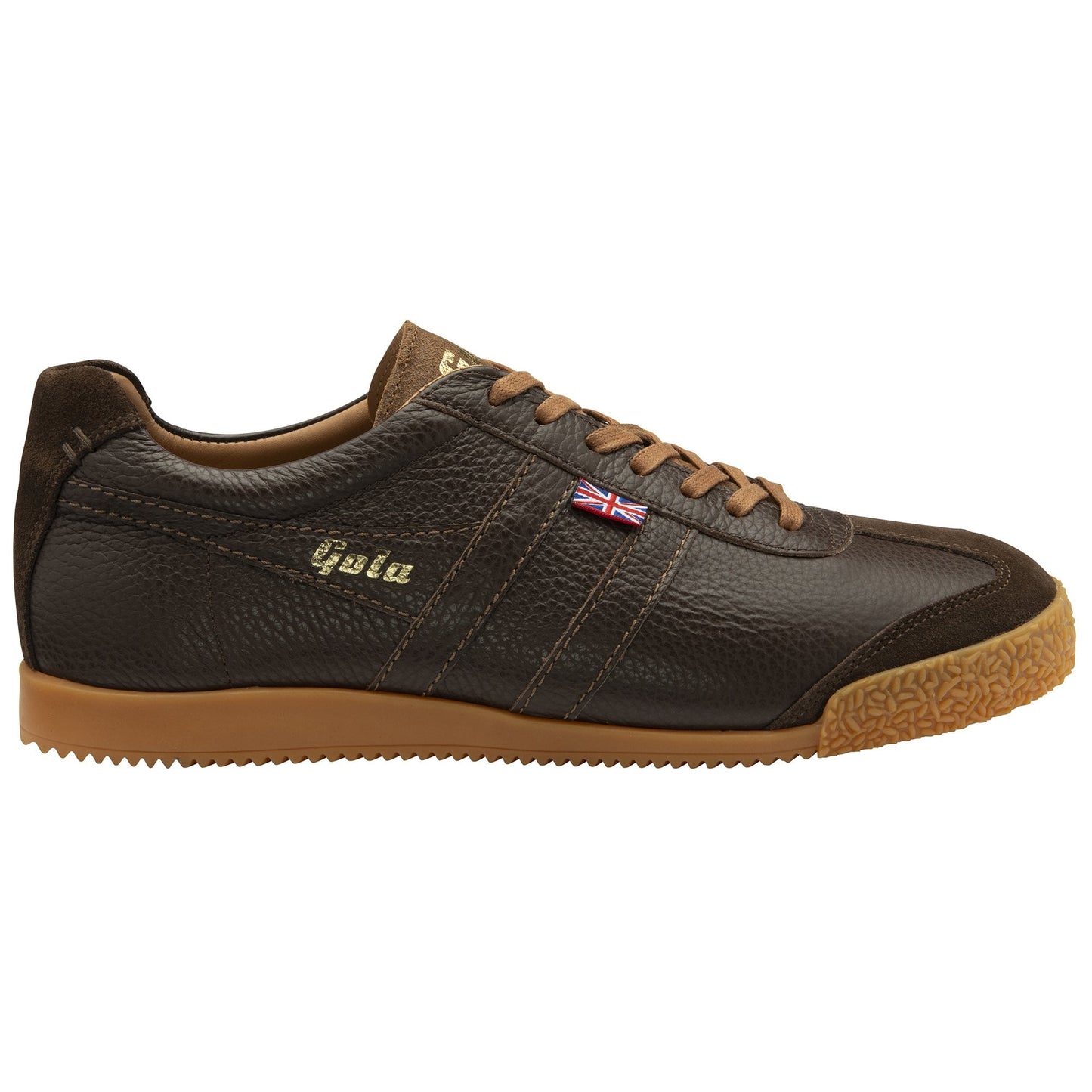 GOLA HARRIER WINDSOR