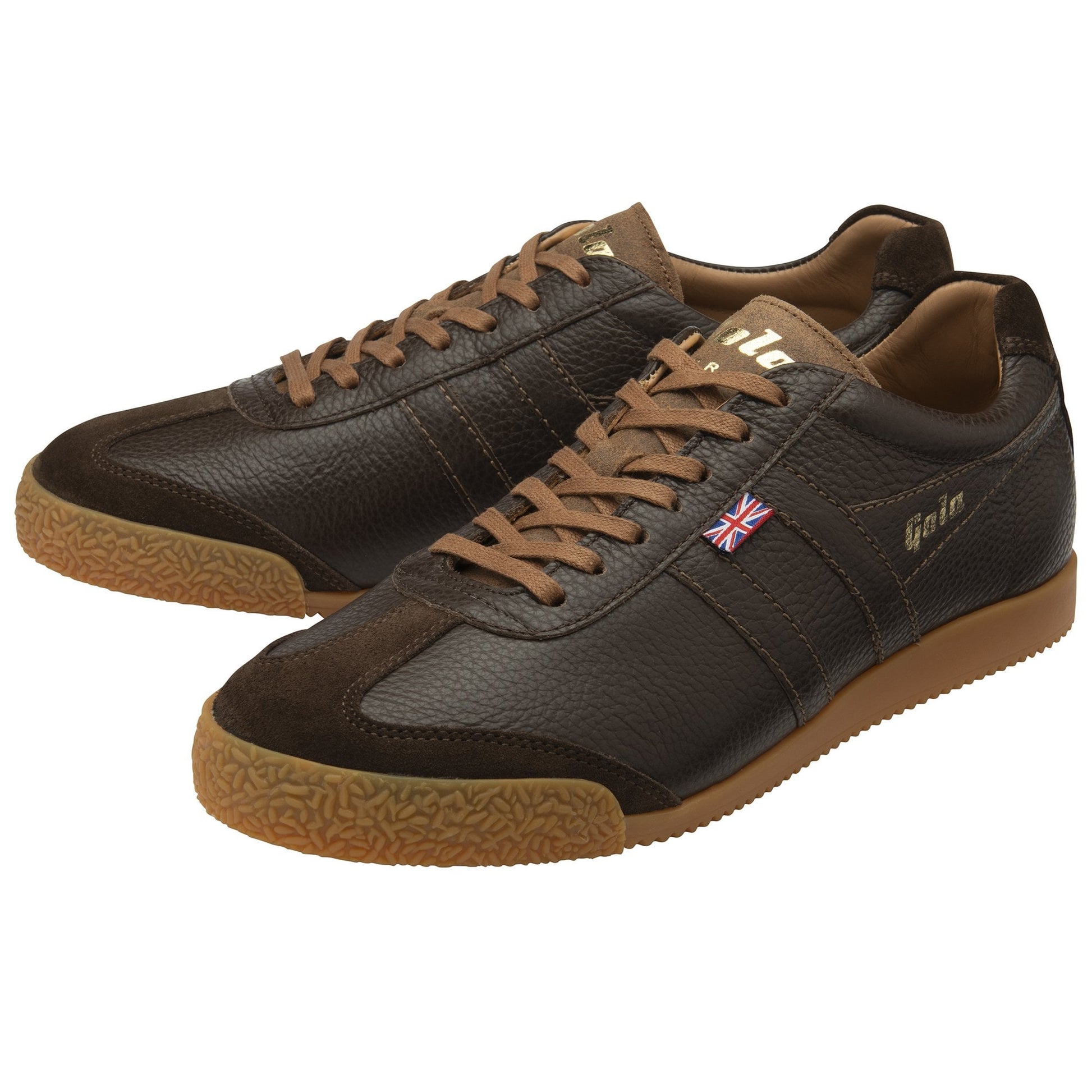 GOLA HARRIER WINDSOR