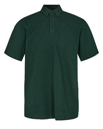 ANERKJENDT AKRENE S/S PIQUE POLO SHIRT