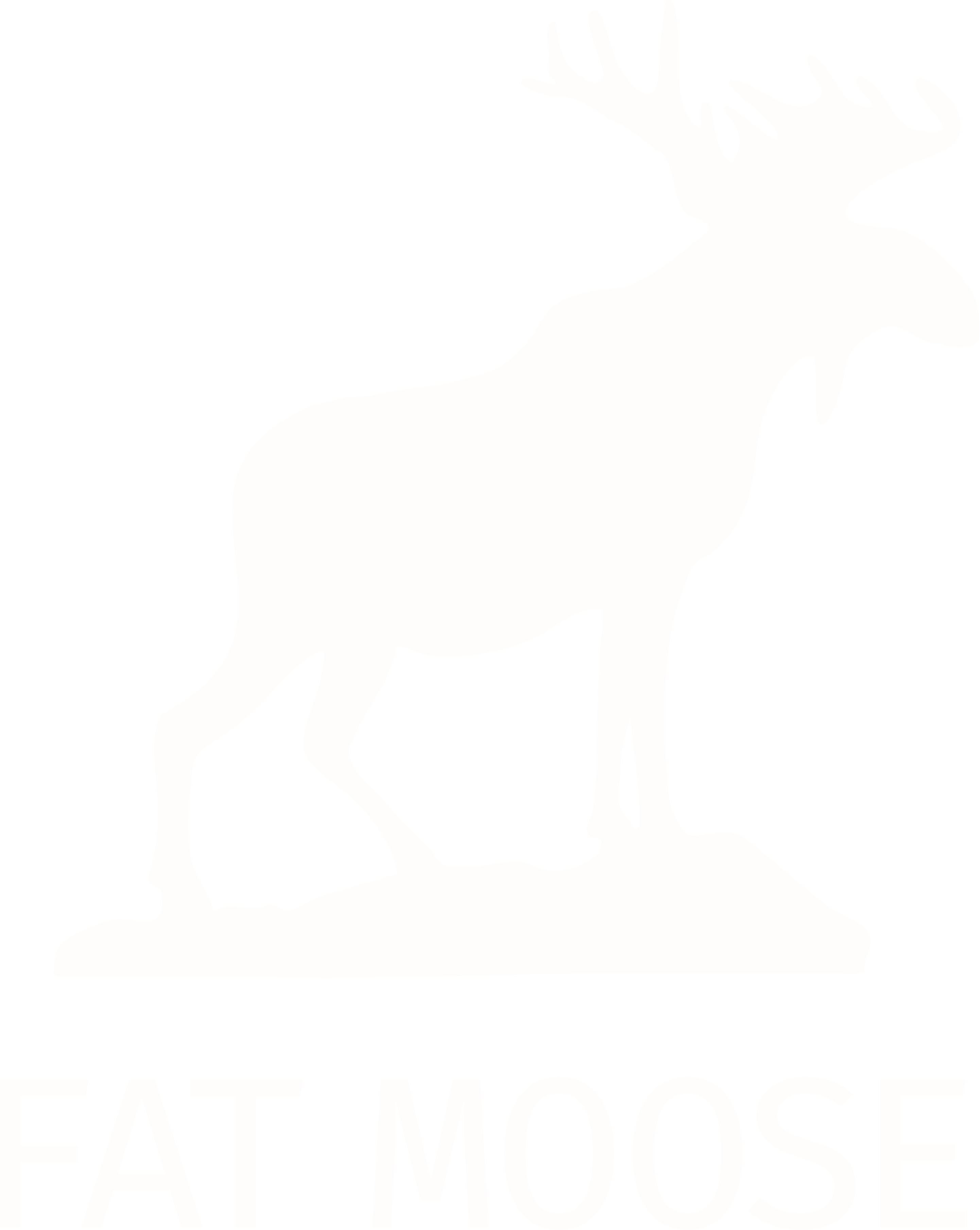 Fat Moose Tap Cargo Pants